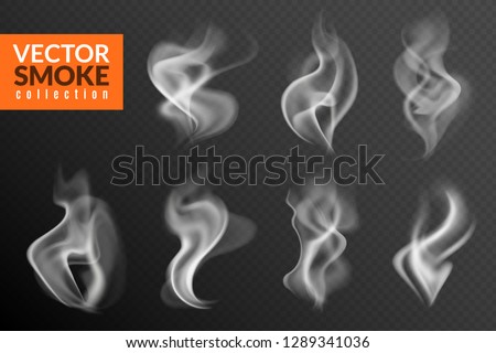 Smoke isolated. White smoking clouds hot food steam hookah tea coffee smoke steaming texture on black background vector set