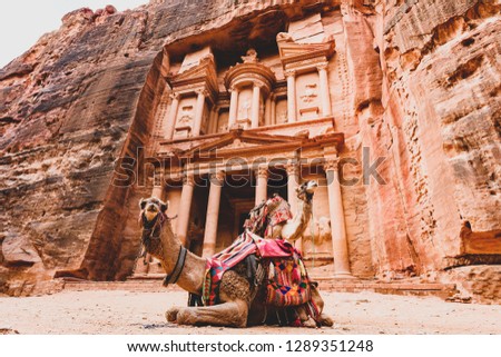 Spectacular view of two beautiful camels in front of Al Khazneh (The Treasury) at Petra. Petra is a historical and archaeological city in southern Jordan.  Royalty-Free Stock Photo #1289351248