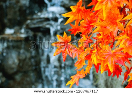 Close up of the red and orange plastic artificial leaves on tree branches with blur waterfall background decorating on the autumn festival event in outdoor park  as autumn background.Selective focus.