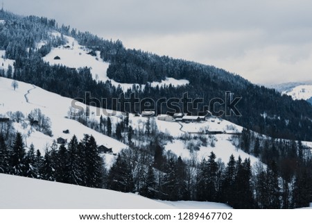 Beautiful winter scenery in Vorarlberg in Austria - Europe. Perfect place to ski and snowboard in the austrian alps.