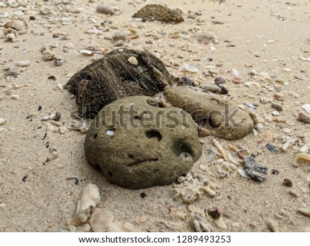 interesting shaped corals and rocks washed up to a sandy beach from the ocean