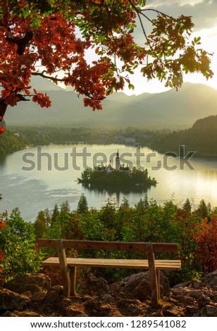 CLOSE UP: Empty bench overlooks the calm Lake Bled and its islet illuminated by the golden morning sunshine