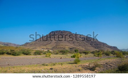 landscape of saudi arabia 