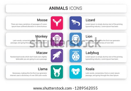 Set of 8 white animals icons such as Moose, Monkey, Macaw, Llama, Lizard, Lion isolated on colorful background