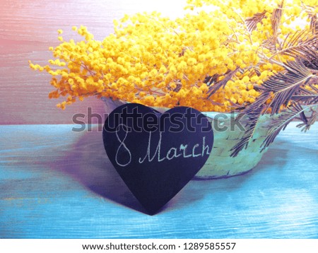 mimosa yellow flowers bush floral spring background 8 march greeting card
