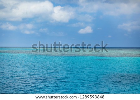 Reef and Lighthouse of Sanganeb, Red sea, Sudan.