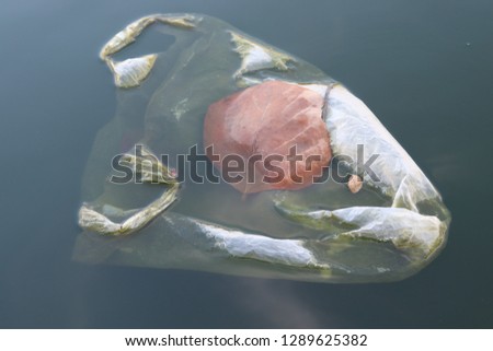 Fish and plastic pollution. Envrionmental problem 