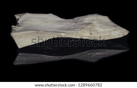 Piece of natural raw petrified wood with opal on black background with reflection