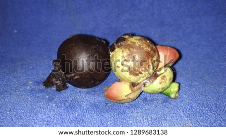 The mangosteen is immature and already rotten