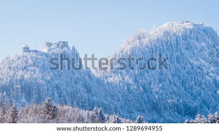 Winter landscape with a castle