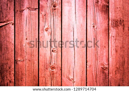 Old weathered wooden plank painted in living coral, pink color with metal strip, wooden texture wall background