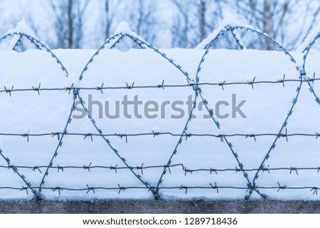 The barbed wire silhouette on the background of snow and blue sky