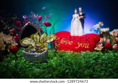 Will you marry me? Valentines Day artwork decoration. Beautiful bride with heart against dark toned background. Valentine greeting card decor. Selective focus