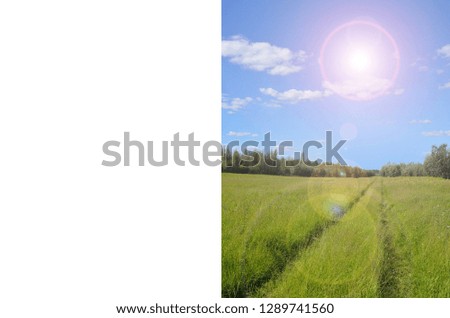 Motivating background for brochure design with one fold - make your way. The tire track is laid on thick grass, directly following to the bright sun.
