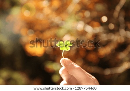 Woman holding green clover in autumn forest