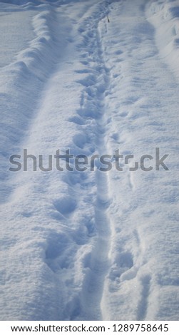 Deep tracks on a snow covered winter path