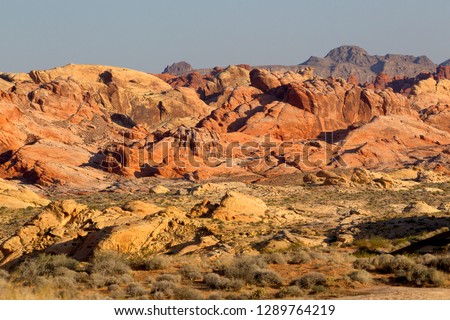 Valley of Fire State Park, Nevada, USA.The Valley of Fire derives its name from red sandstone formations, formed from great shifting sand dunes durind the age of dinosaurs, 150 million years ago