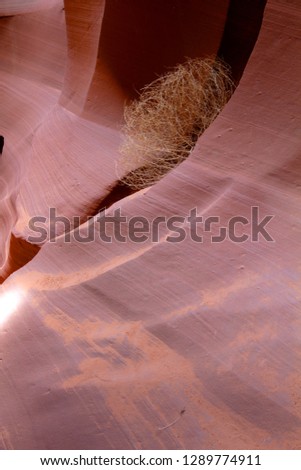 Antelope Canyon. The light enter into the narrow canyon walls creating beautiful colors in the sandstone rock. Lower Antelope Canyon,  Navajo Nation, Arizona, USA.