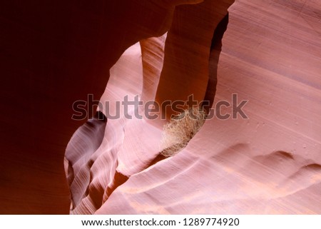 Antelope Canyon. The light enter into the narrow canyon walls creating beautiful colors in the sandstone rock. Lower Antelope Canyon,  Navajo Nation, Arizona, USA.