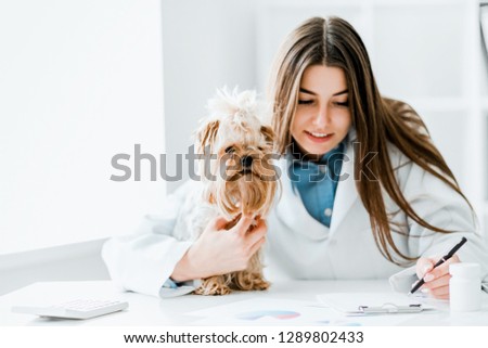 Veterinarian doctor and a york terrier at vet clinic.