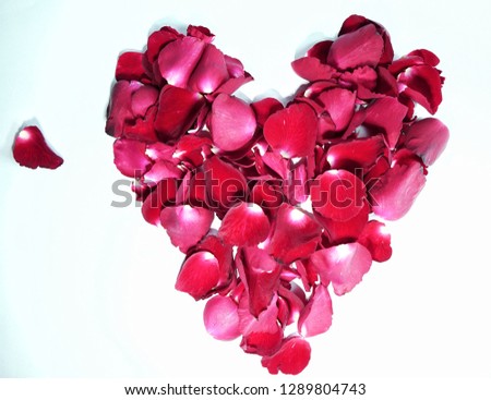 Heart shaped petals, arrow roses red set of petals isolated on white background - Image Royalty-Free Stock Photo #1289804743