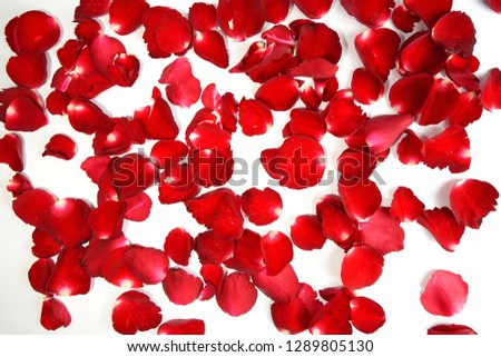 Background of beautiful red rose petals - Image Royalty-Free Stock Photo #1289805130