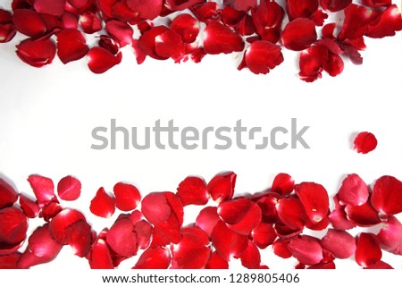 Red rose petals with a central space for text-Image Royalty-Free Stock Photo #1289805406