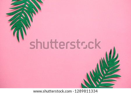 Fern leaves on a pink background in minimal style. In the middle there is a place for text.