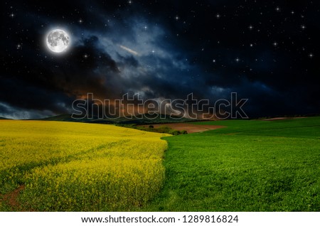 rape field in the night