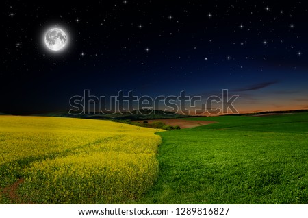rape field in the night