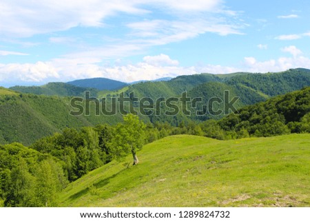 Beautiful landscape with green hills, meadows and trees
