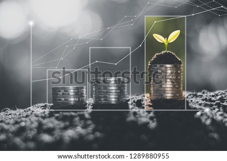 The coins are arranged in rows of three rows and graphs show continuous financial growth. Royalty-Free Stock Photo #1289880955