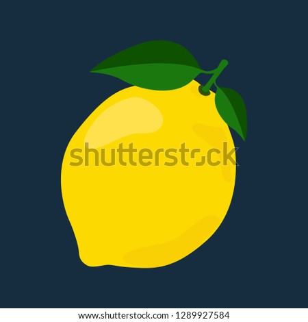 Lemon with leaves isolated on dark background. Vector illustration for decorative poster, emblem natural product, farmers market. Perfect for packaging design of cosmetics and food. 