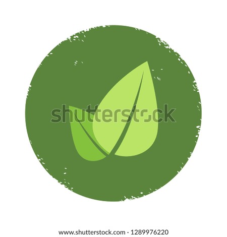 Leaf concept on a white background, Vector illustration