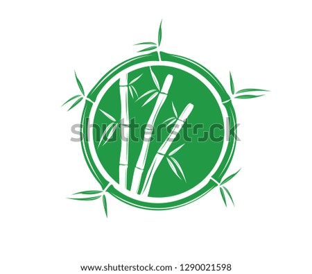 green bamboo branch and leaf vector icon logo design template