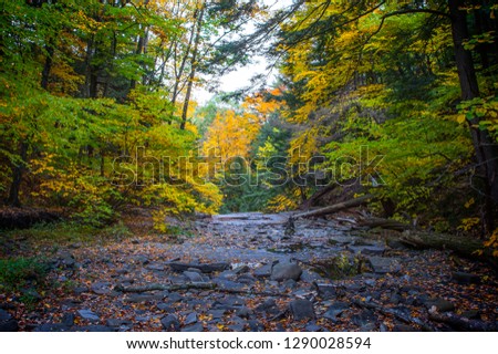 Dry Waterfall at Plotter Kill Preserve Schenectady Upstate New York path forest Royalty-Free Stock Photo #1290028594