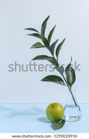 Mock up green twigs in vase and apple on book shelf or desk. White colors. White-blue colors. Minimalistic concept.