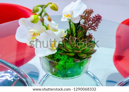 Room decoration. Flowers Vase on the table. Orchid. Flowers succulents. Flower design.