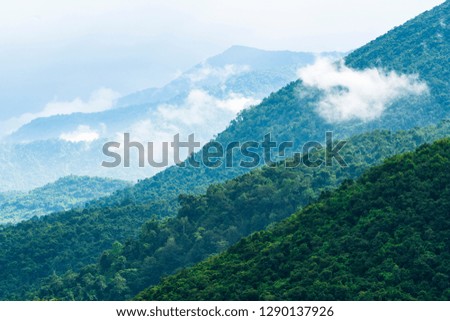 Beautiful sunrise with fog and sunlight in the forest mountain in Bao Loc, Vietnam.