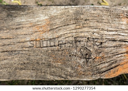 Background texture of an old wooden plank of gray with cracked knots and remnants of orange paint