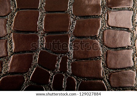 brown background with the skin of a crocodile