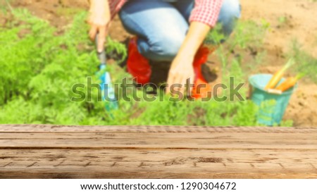Wooden table and blurred view of woman working in garden on background. Space for text