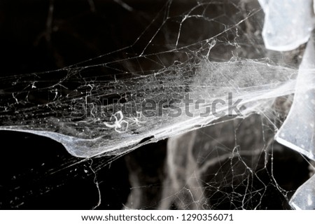 cobwebs and broken window