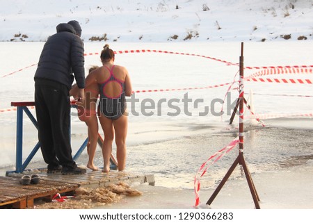 Walrus family swimming in cold water in the fenced ice hole in winter - winter sports, healthcare, HLS, rear view