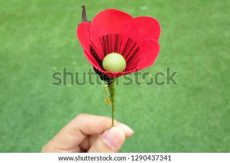 Hands holding a red poppy hand made from cloth, bunch of memorial day, with green grass background. Object concept.