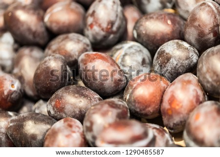 Plum. Berries, fruits and vegetables. The fruits of the plant. Gifts of nature. Vegetarian or vegan food. Healthy food. Background for the designer, desktop wallpaper. Natural pattern. Close up photo.