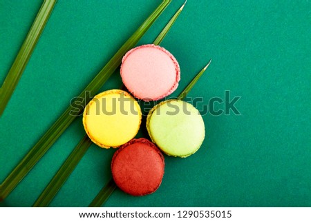 French delicacy, macaroons colorful with spring blossom. Bouquet flowers narcissus and sweets or cake macarons. Good morning. Woman or mother Day. Greeting card. Spring is coming. Cope space. Flat lay