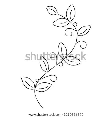 Vector illustration of a vine with leaves and berries in a simple hand drawn sketch style.