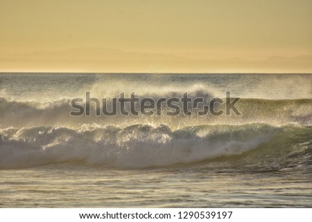 atlantic ocean waves on sunset light in la pared on fuerteventura canary island in Spain 