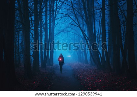 Blurred Background for wallpaper. Girl goes on the road and shines a lantern in a mysterious forest. Mystical Strange forest in a fog with red leaves. Mystic atmosphere. Dark scary park.